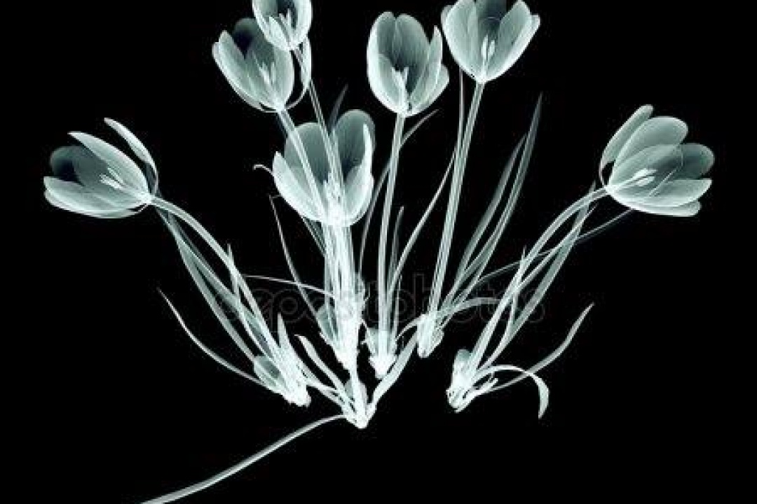 ΔΕΛΤΙΟ ΤΥΠΟΥ: Συλλυπητήριο μήνυμα Δημάρχου Καρπάθου προς τους πληγέντες από την πυρκαγιά δήμους της Ανατολικής Αττικής