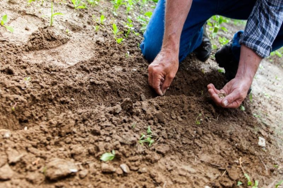ΔΕΛΤΙΟ ΤΥΠΟΥ: Ανάπτυξη μικρών γεωργικών εκμεταλλεύσεων από το Υπ. Αγροτικής Ανάπτυξης