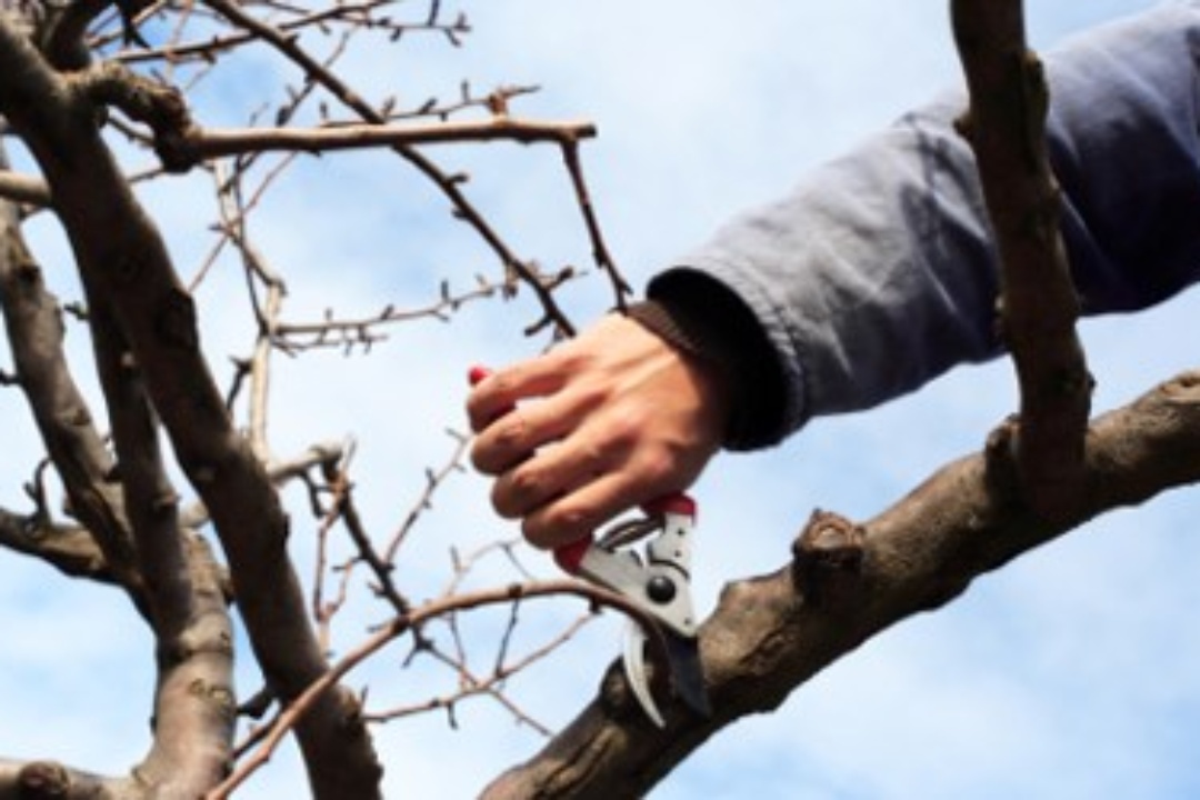 ΑΝΑΚΟΙΝΩΣΗ: Ενημέρωση δημοτών από το Τμήμα Περιβάλλοντος και Πολιτικής Προστασίας του Δήμου