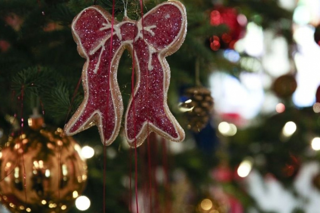 ΑΝΑΚΟΙΝΩΣΗ: ΑΝΑΜΜΑ ΧΡΙΣΤΟΥΓΕΝΝΙΑΤΙΚΟΥ ΔΕΝΤΡΟΥ ΣΤΗΝ ΚΑΡΠΑΘΟ