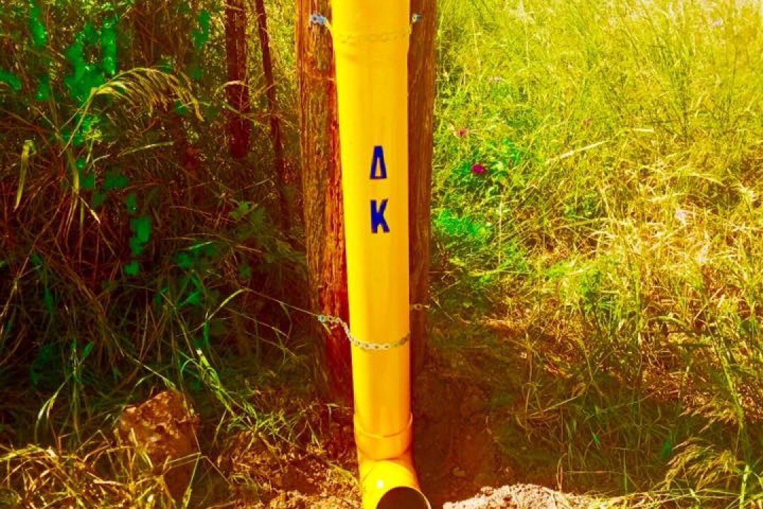 Ταΐστρες για τα αδέσποτα ζώα τοποθέτησε ο Δήμος Καρπάθου