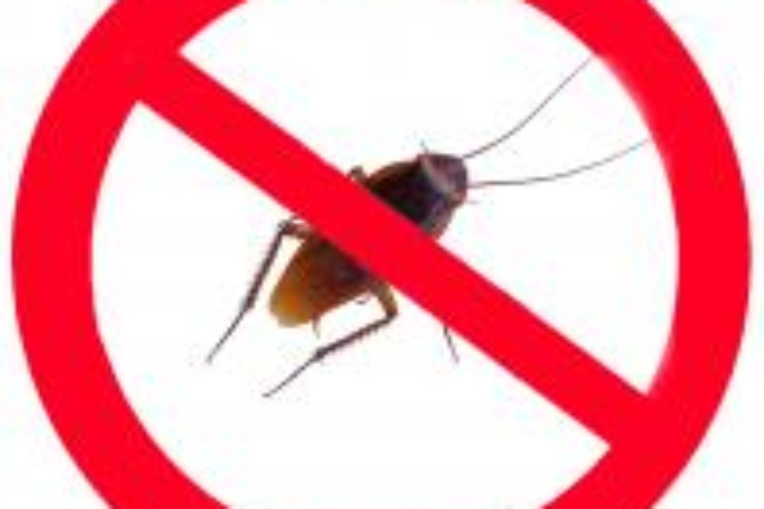 ΨΕΚΑΣΜΟΣ ΦΡΕΑΤΙΩΝ ΣΤΙΣ 25/04