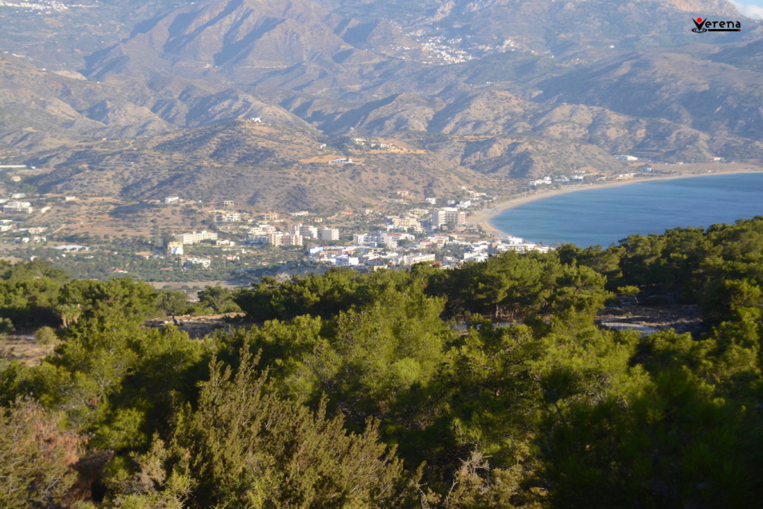 Αίτημα στελέχωσης του Δασονομείου Καρπάθου